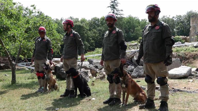 9 ülkeden 27 arama kurtarma köpeği İstanbuldaki şampiyonada