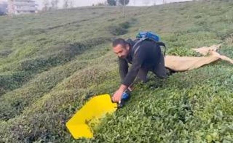 ÇAYKUR Genel Müdürü Alim: Toprağımızın yapısal özellikleri kaybolmaya başladı