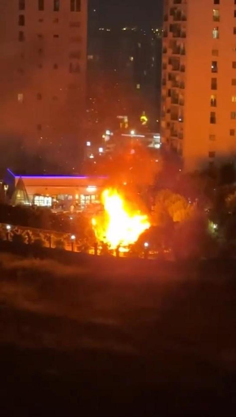 Avcılarda düğün sırasında atılan havai fişekler parkta yangın çıkardı