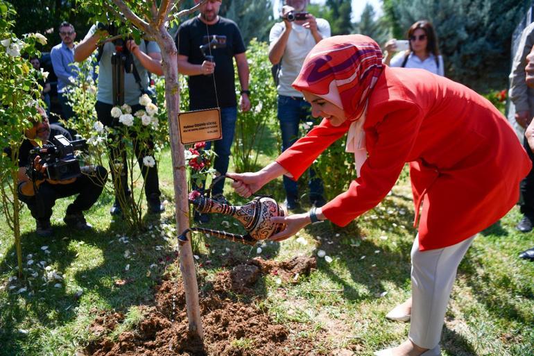 Bakan Göktaş, kadın kooperatifinde hamur açtı