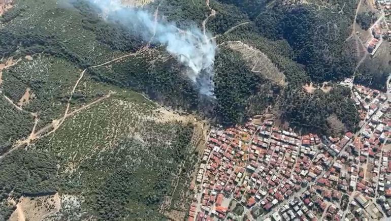 Manisada orman yangını