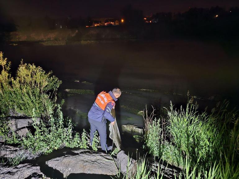 Jandarmanın inci kefali nöbeti sürüyor
