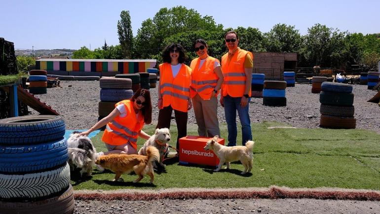 FIBA 2025 Avrupa Şampiyonalarında her sayı mamaya dönüşüyor