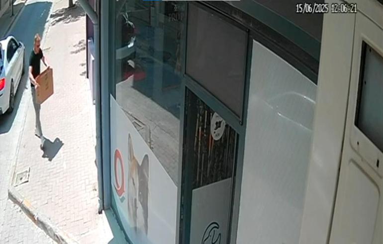 Klinik önüne koli içerisinde bırakılan köpek öldü