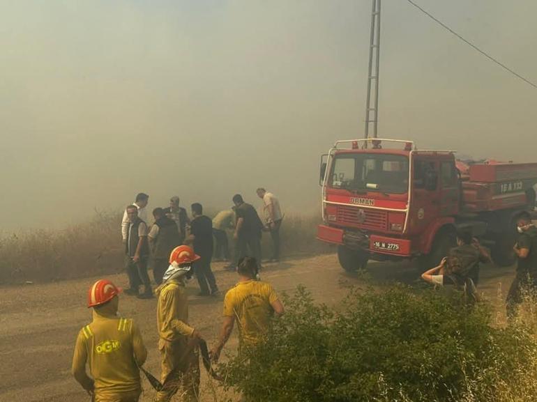 Bursada çıkan orman yangını kontrol altında