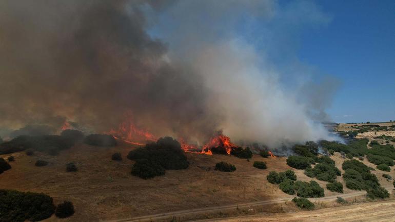 Manisada makilik yangını 3 saatte kontrol altında