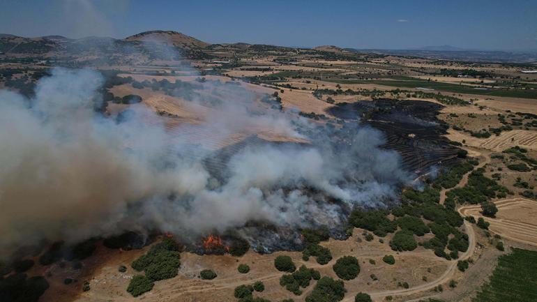 Manisada makilik yangını 3 saatte kontrol altında