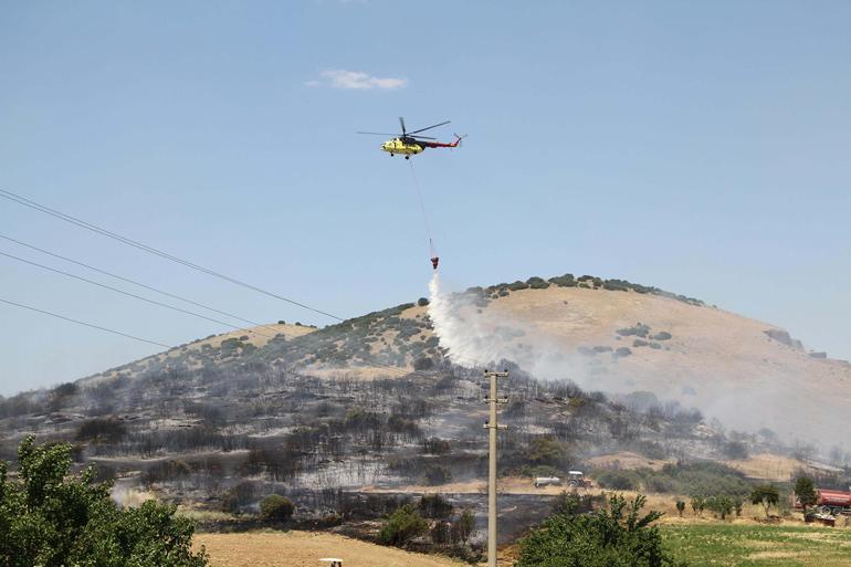 Manisada makilik yangını 3 saatte kontrol altında