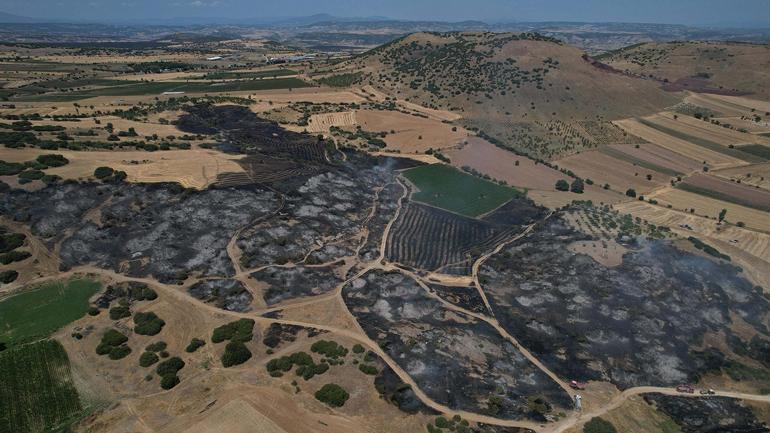 Manisada makilik yangını 3 saatte kontrol altında