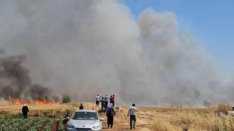 Şanlıurfada tarla yangını: 1i ağır 5 yaralı