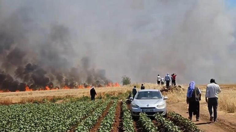 Şanlıurfada tarla yangını: 1i ağır 5 yaralı