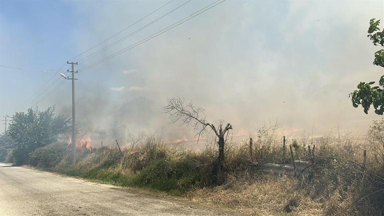 Çanakkale’de orman yangını