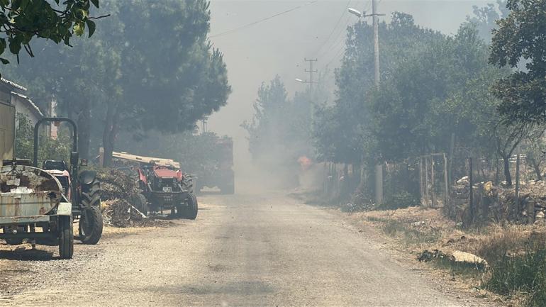 Çanakkale’de orman yangını