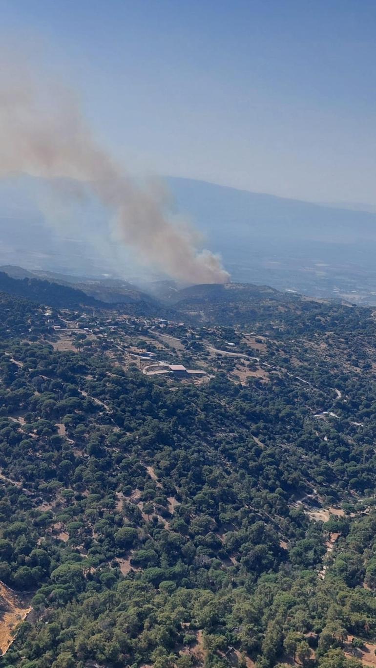 Aydında çıkan orman yangını kontrol altında