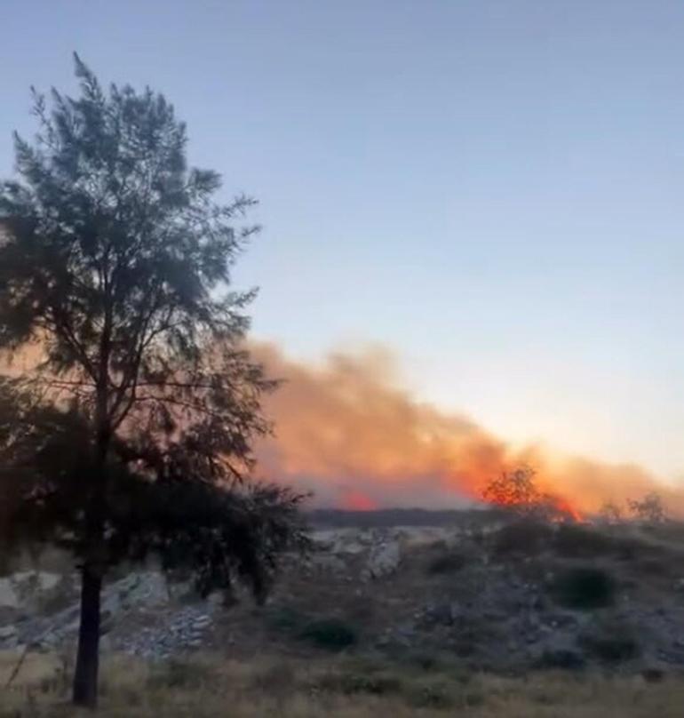 İzmirde çıkan otluk yangını rüzgarla şiddetini artırdı