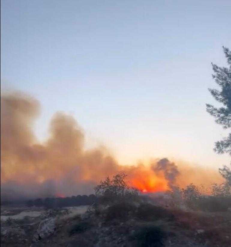 İzmirde çıkan otluk yangını rüzgarla şiddetini artırdı