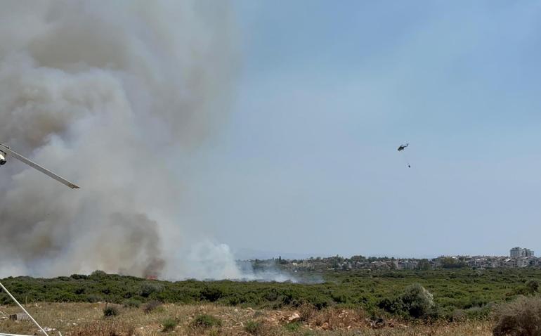 Aydında çıkan makilik yangını kontrol altında