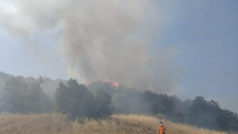 Bursada çıkan orman ve makilik yangını kontrol altında