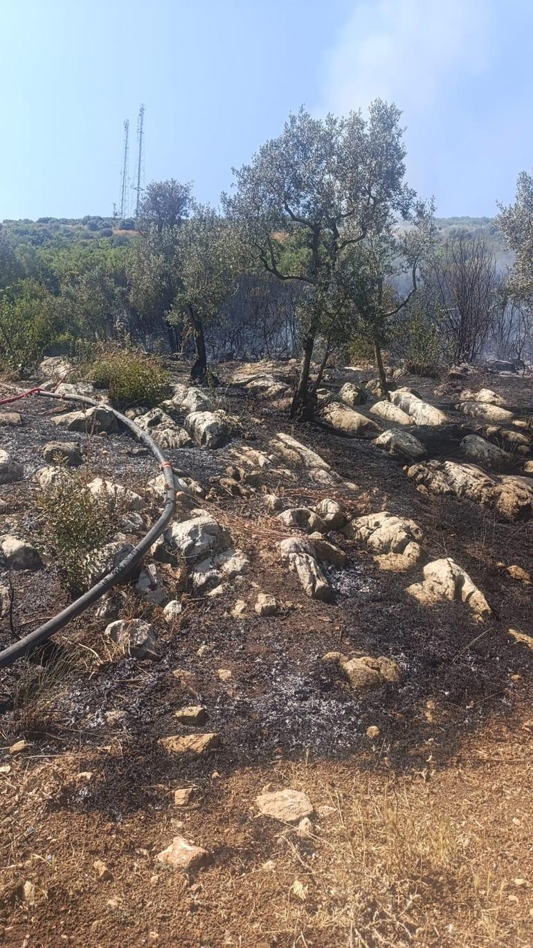 Bursada çıkan orman ve makilik yangını kontrol altında