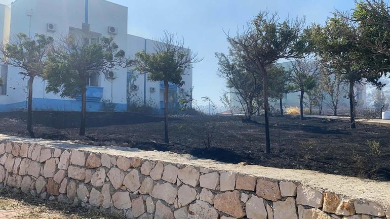 Aydında çıkan makilik yangını kontrol altında