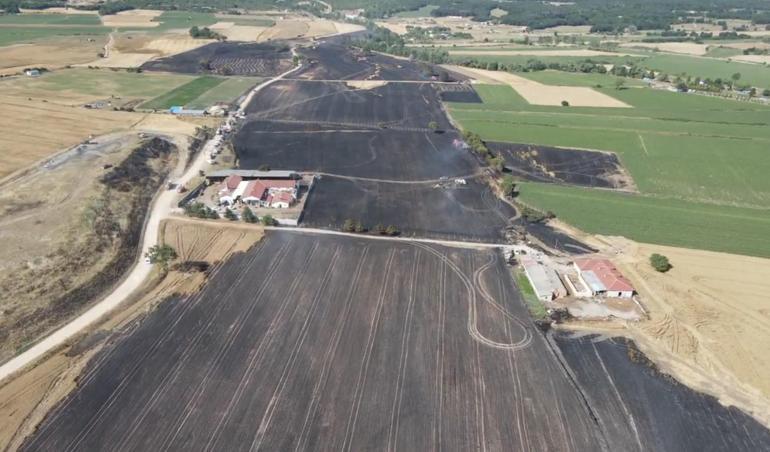 Tekirdağda yangında 400 dönüm buğday ekili tarla zarar gördü