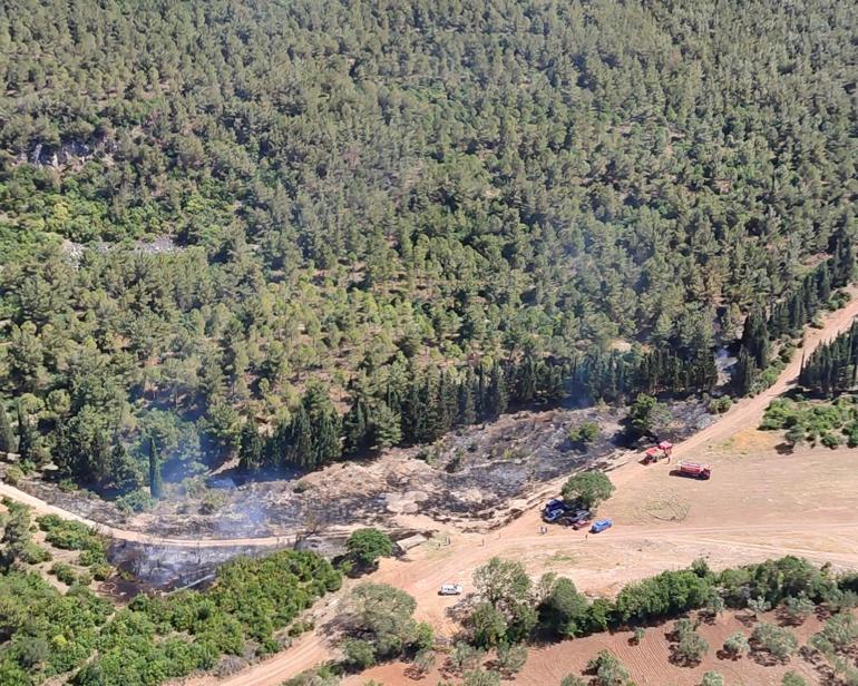 Semaver yakarken ormanı da yaktı; gözaltında