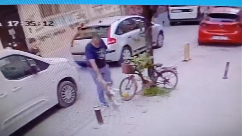 Köpeği yere atıp, boğazını sıktı; o anlar kamerada