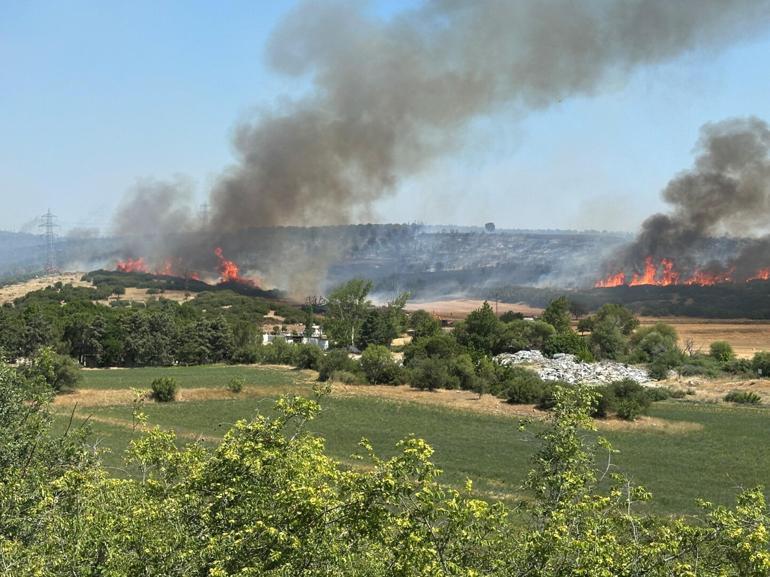 Çanakkalede çıkan orman yangını kontrol altında
