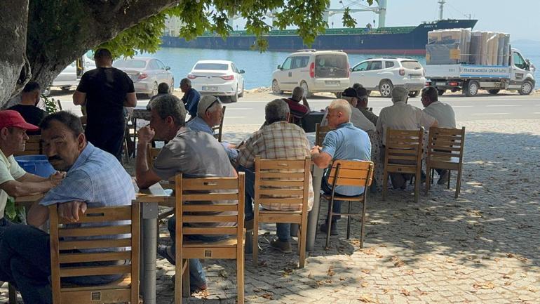 Tekirdağda kuru yük gemisi karaya oturdu