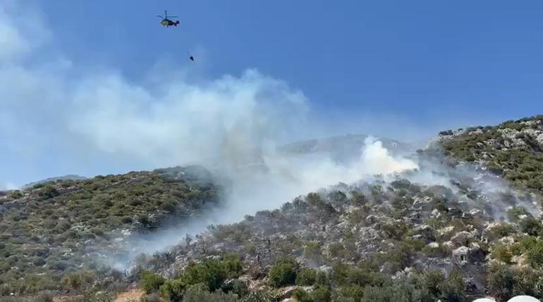 Antalyada çıkan orman yangını kontrol altında