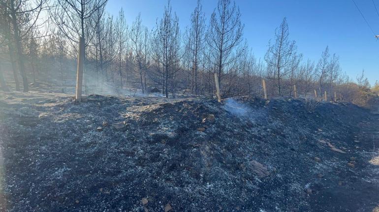 İzmirdeki orman yangını 2nci günde kontrol altında
