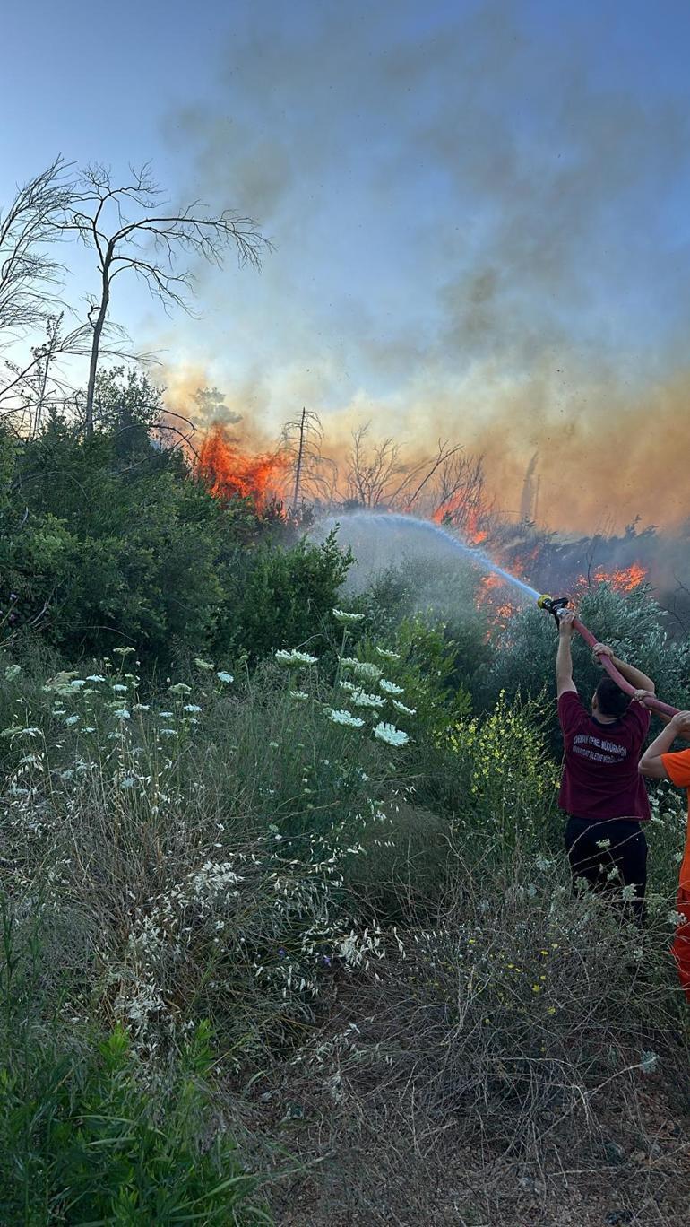 Antalyada orman yangını kontrol altında
