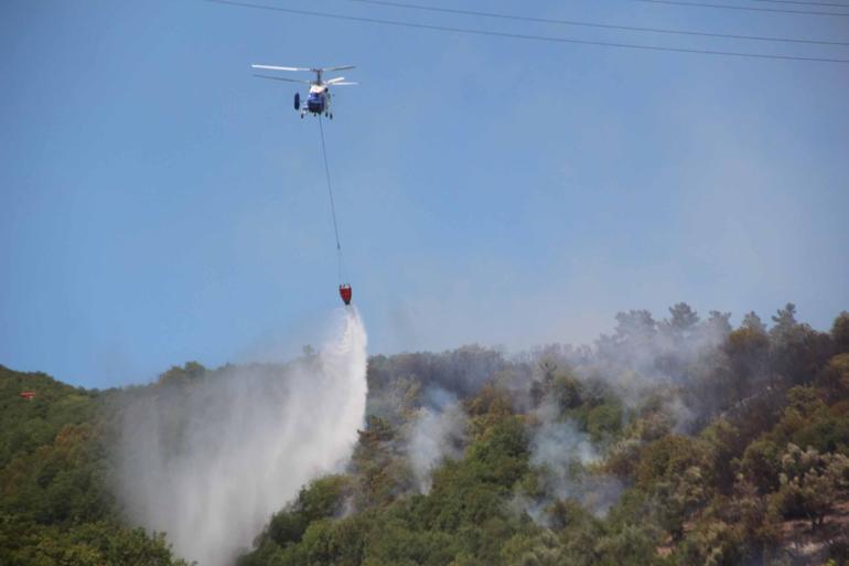 Kocaelide makilik yangını