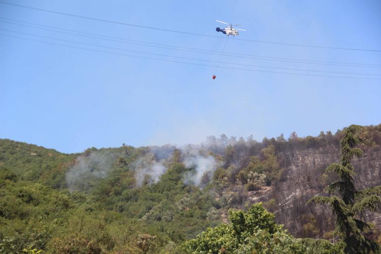 Kocaelide makilik yangını