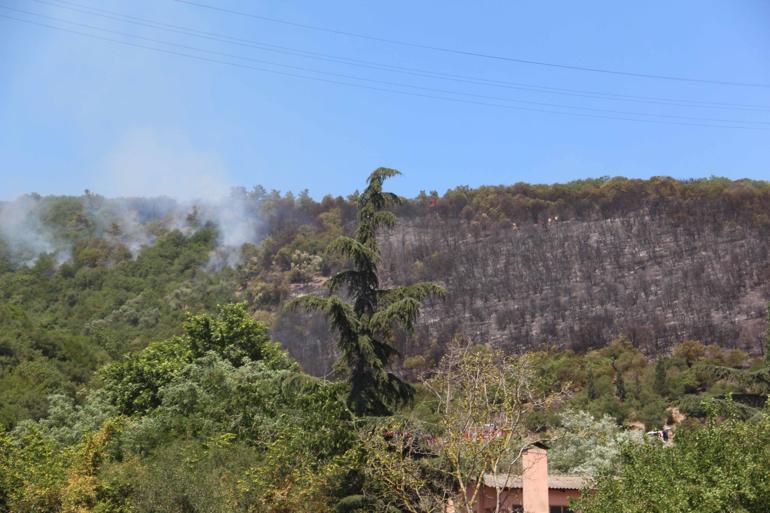 Kocaelide makilik yangını