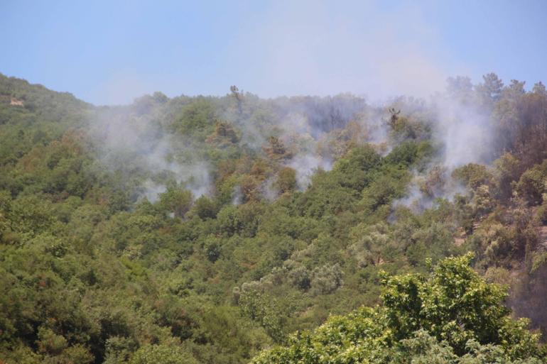 Kocaelide makilik yangını