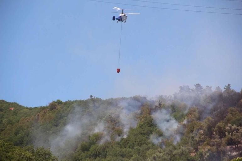 Kocaelide makilik yangını