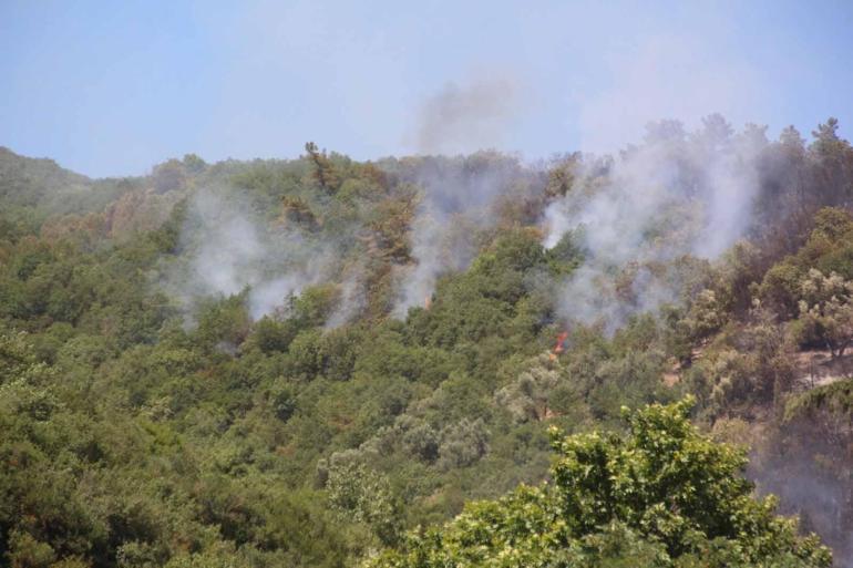 Kocaelide makilik yangını