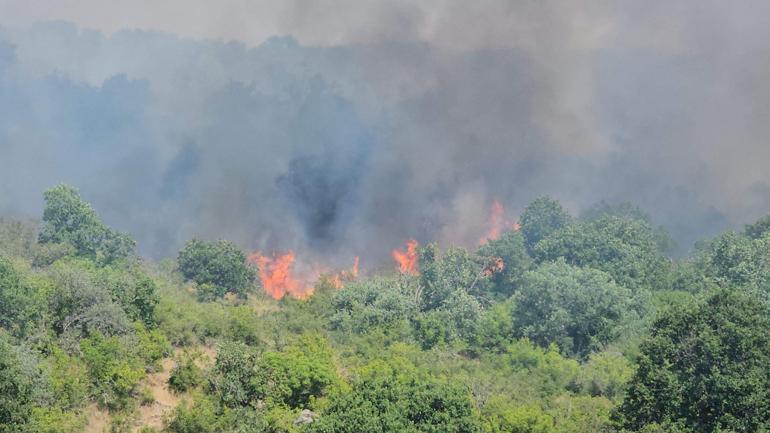 Edirnede çıkan orman yangını kontrol altında
