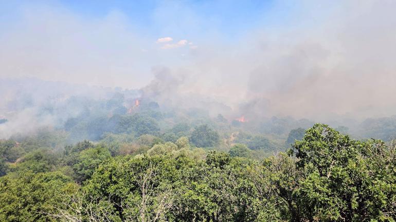 Edirnede çıkan orman yangını kontrol altında