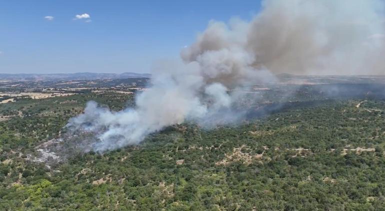 Edirnede çıkan orman yangını kontrol altında