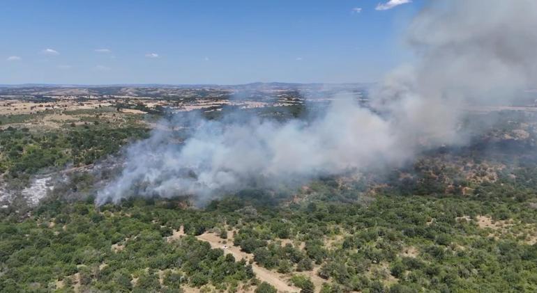 Edirnede çıkan orman yangını kontrol altında