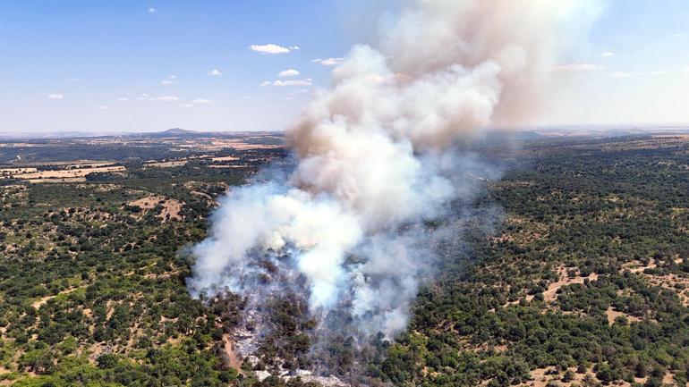 Edirnede çıkan orman yangını kontrol altında