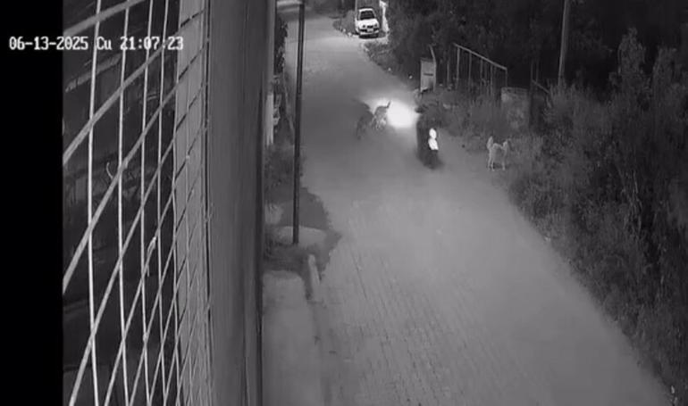 Motosikletiyle köpeğe çarpan sürücü 10 gün sonra öldü; kaza kamerada