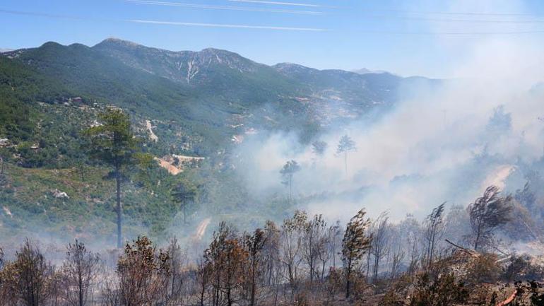 Antalyanın 3 ilçesinde 5 noktada çıkan yangınlar kontrol altında