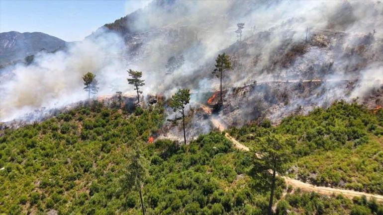 Antalyanın 3 ilçesinde 5 noktada çıkan yangınlar kontrol altında