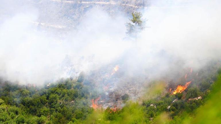 Antalyanın 3 ilçesinde 5 noktada çıkan yangınlar kontrol altında