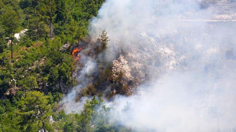 Antalyanın 3 ilçesinde 5 noktada çıkan yangınlar kontrol altında
