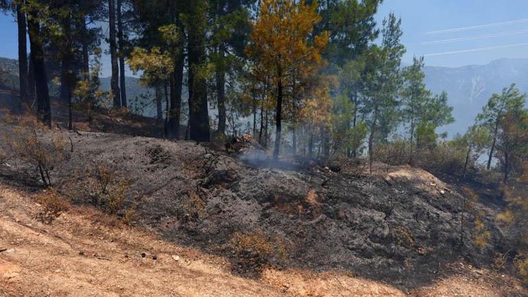 Antalyanın 3 ilçesinde 5 noktada çıkan yangınlar kontrol altında