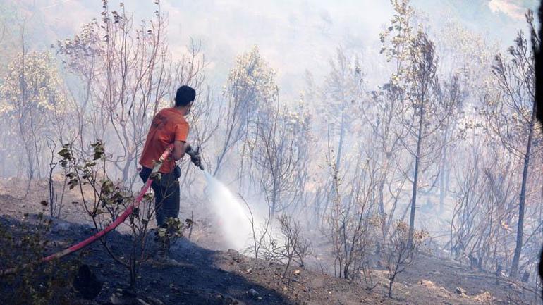 Antalyanın 3 ilçesinde 5 noktada çıkan yangınlar kontrol altında